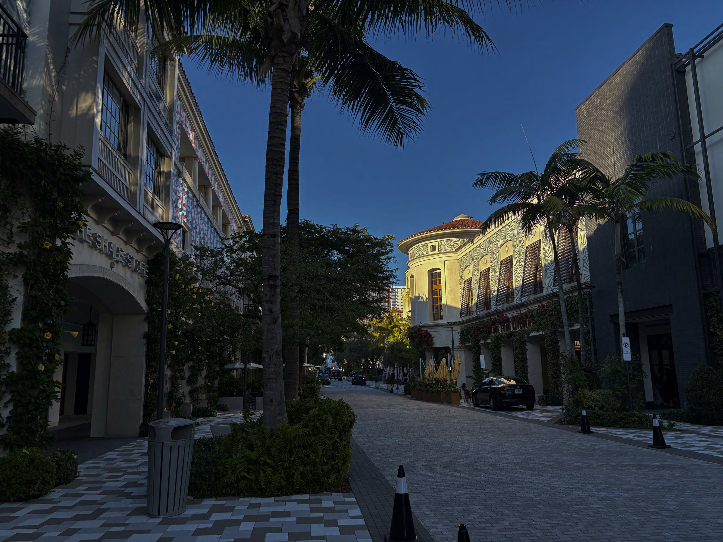 Rosemary Ave, West Palm Beach, FL